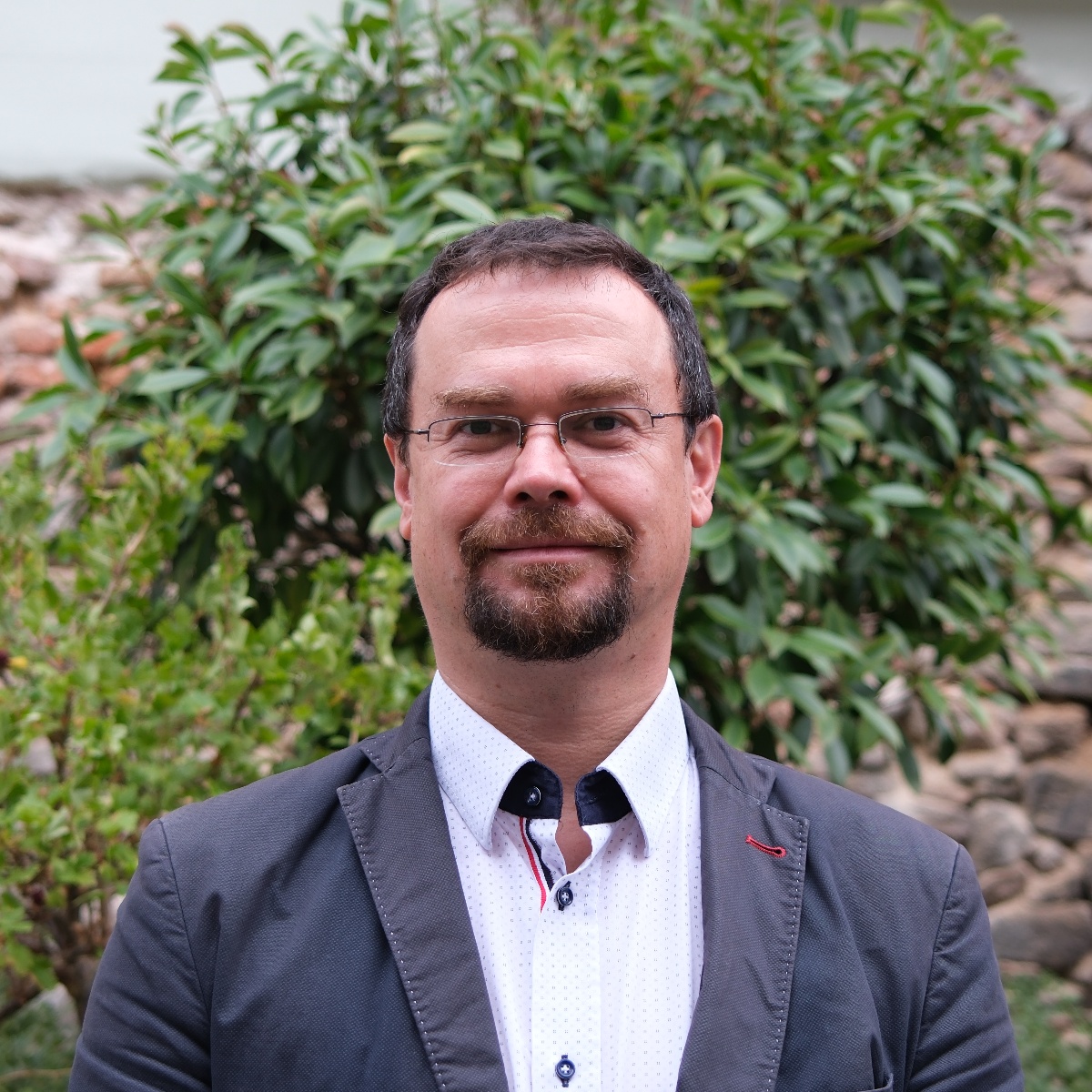 Ing. Marek Reguli